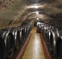 Vína Ampelos zrají také v klasických dřevěných sudech v pískovcovém sklepě